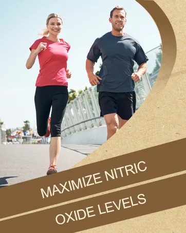 Nitric Oxide Supplement, Nitric Oxide Booster & 6-in-1 Phytonutrient Blend for Heart, Flow, Immune - 90 Capsules (2 Bottle) 90 Count (Pack of 2) - product information 3