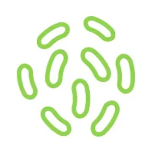 Global Healing Center Colon Cleanse Program  6-Day Quick Cleanse with Step-by-Step Instructions - Oxygen Based and Natural Colon Cleanse Paired with Probiotic Supplement For Healthy Digestion Support - lean vegan wraps store bulk brand garden pure humans seeking smarter nutrition day off mood kit prep
