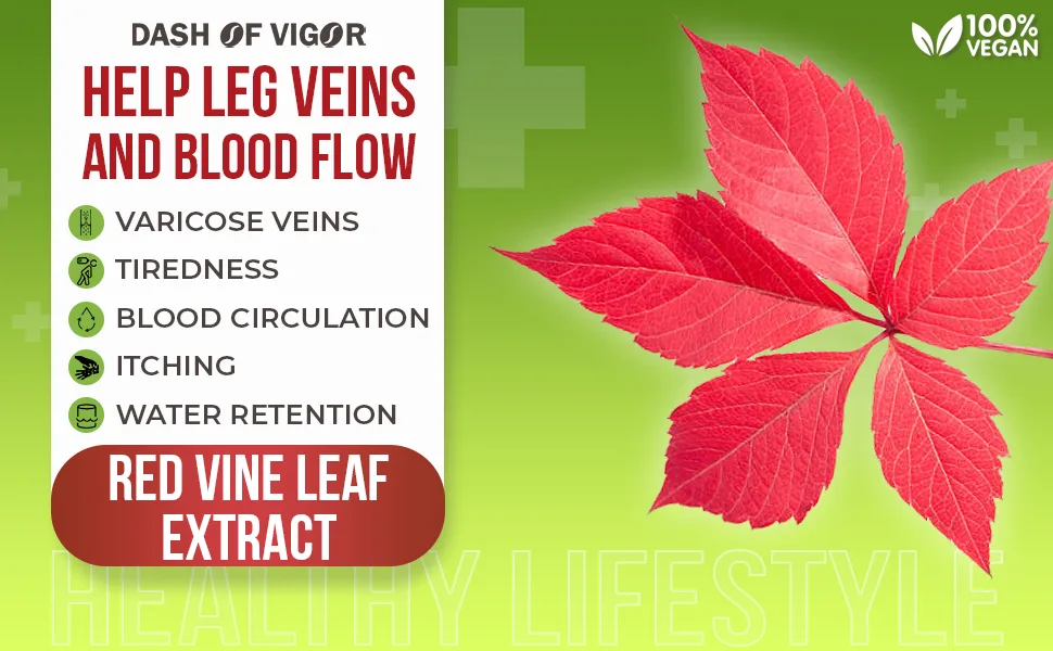 Dash of Vigor 12-in-1 Horse Chestnut Extract Complex, Red Vine Leaf Extract Supplement, Pine Bark, Turmeric, Hawthorn Berry, Ginger, Cayenne Pepper, Chamomile, 1460 mg, 60 Capsules - Red Vine Leaf Extract Supplement