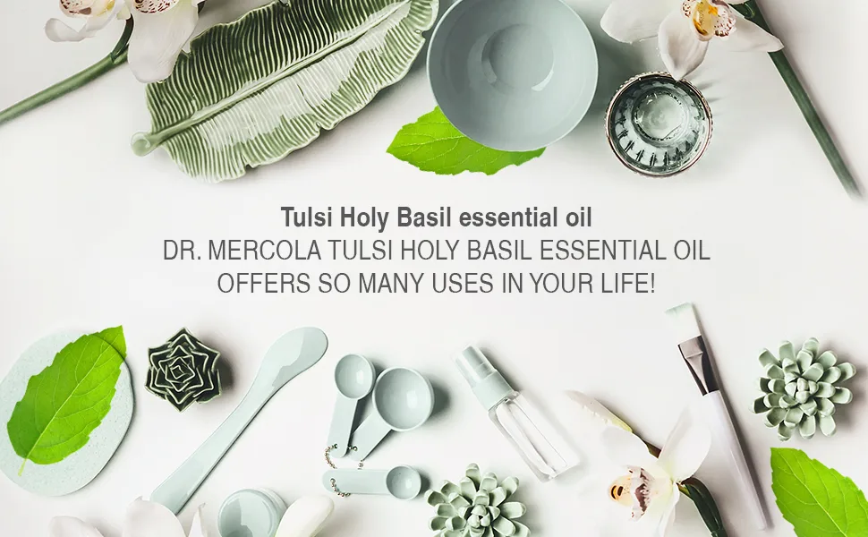 Dr. Mercola Organic Tulsi Holy Basil Essential Oil (1 Fl Oz Bottle) - holy basil