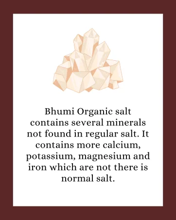 Bhumi Organic Aged and Fermented Black Garlic Capsules, 60 Veg Capsules, 500 mg - product information 7
