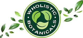 Wholistic Botanicals Ginkgo Biloba Capsule Memory Supplement for Brain Energy Supplement 100 ct - product information 8