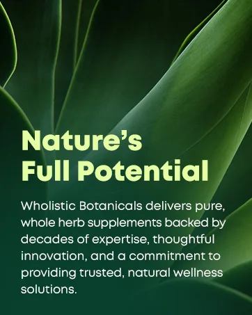 Wholistic Botanicals Heart Support Essential Oil 15 ml. - Wholistic Botanicals Nature's Full Potential