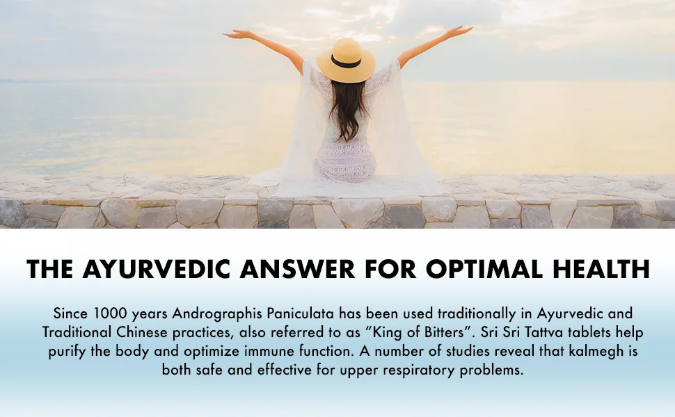 Andrographis Paniculata Supplements 60 Tablets Plant Based Herbals Respiratory Wellness Immune Strength Restorative Andrographis Tablets 500 Mg Organic Green Chiretta Herb - Andrographis Paniculata Supplements