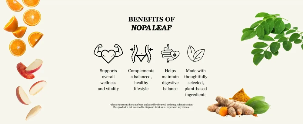 NOPA Leaf Turmeric Powder 100% Turmeric Root Powder (Curcuma Longa) Non-GMO, Gluten-Free 16 oz (454g) - NopaLeaf