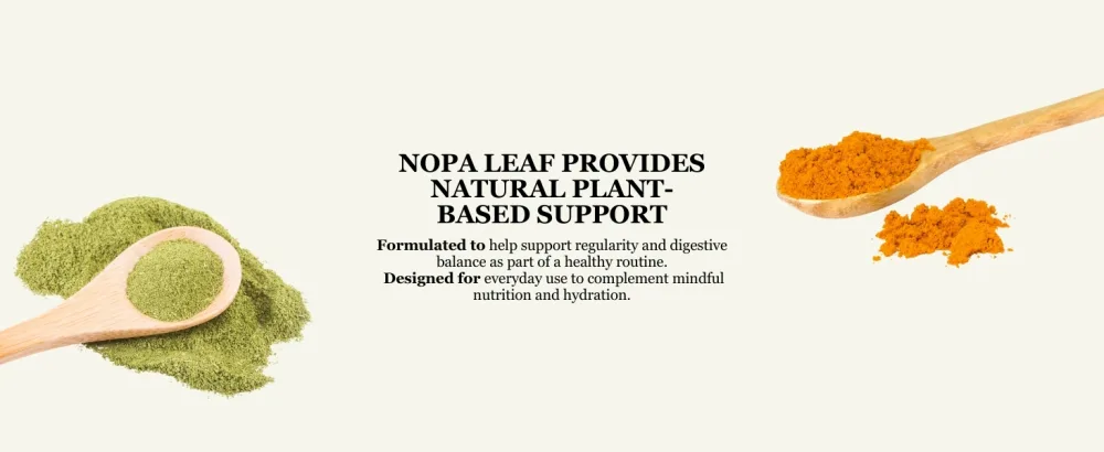 NOPA Leaf Turmeric Curcumin Complex Capsules with Ginger & Black Pepper 1000mg per Serving 120 Capsules Dietary Supplement, Non-GMO, Gluten-Free - NopaLeaf
