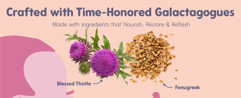 OAT MAMA Organic Lactation Supplement - 'Slay Mama' Blessed Thistle & Fenugreek Capsules - Herbal Lactation Blend, Postpartum Support for Breastfeeding Moms - product information 8