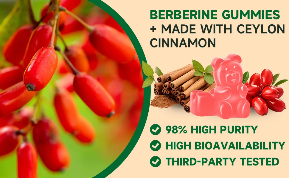 BVIVLOO Premium Berberine Gummies, 2000mg High Potency Berberine HCI Supplement, Plus Ceylon Cinnamon, Milk Thistle for Women & Men, Immune System & Metabolism Support - 60 Gummies - berberine gummies