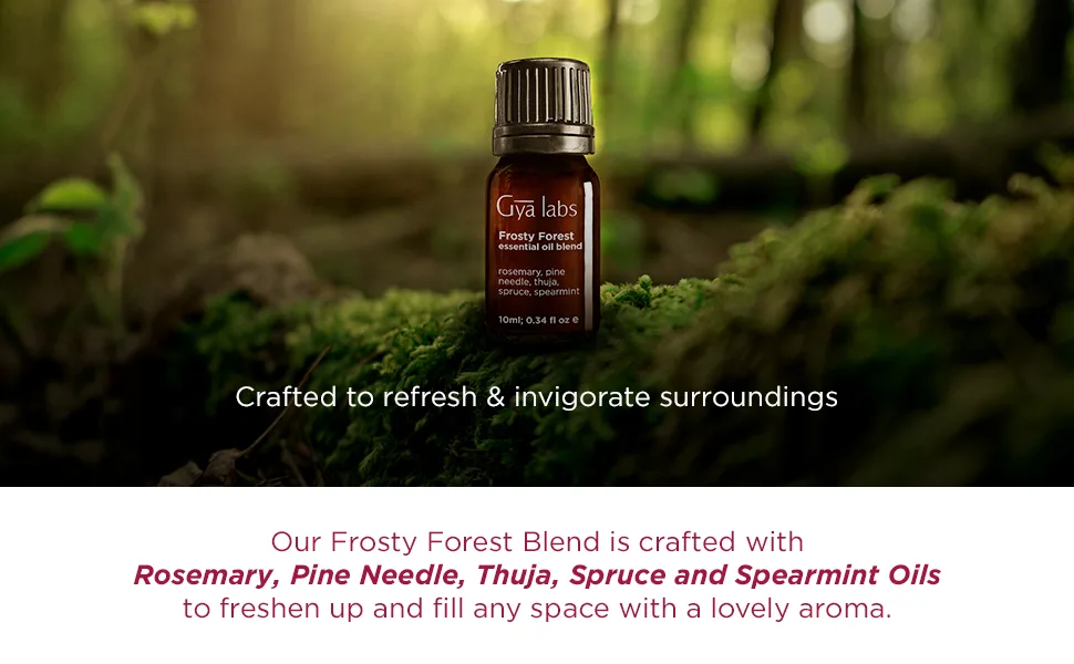 Gya Labs Frosty Forest Essential Oil Blend - Revitalizing & Invigorating (0.34 Fl Oz) - product information 13