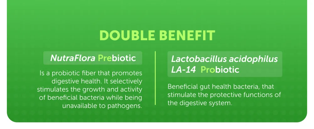 Probvioptal, 30 Capsules, Probiotics & Prebiotics, Duocap, 1 Billion CFU, Gluten Free - Bomuca, Multi, Vitamins, Multivitamins, Minerals, Active, Women, Men, Probiotics