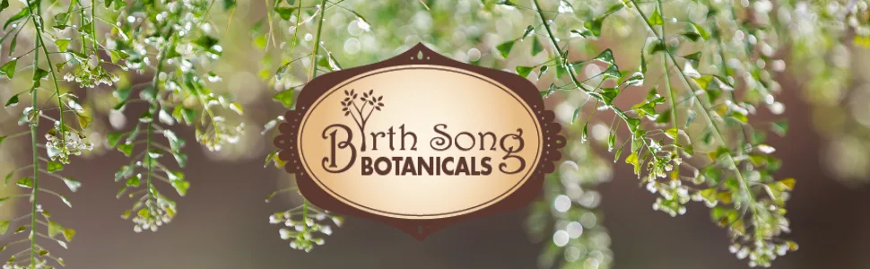 Birth Song Botanicals Energizing Chlorophyll Tincture, Super Concentrated Liquid Chlorophyll Drops, Herbal Energy Support Supplement and Internal Deodorizer, Mint Flavor 1oz Bottle - Birth Song