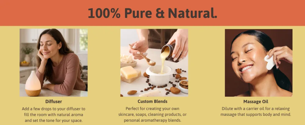 Lavender Essential Oil for Diffuser Aromatherapy Best of Nature 100% Pure Undiluted Oils for DIY, Home Fragrance, and Topical Use - Best of Nature 100% Pure Undiluted Essential Oil Skincare, Self Care and DIY Soap making Carrier Oil