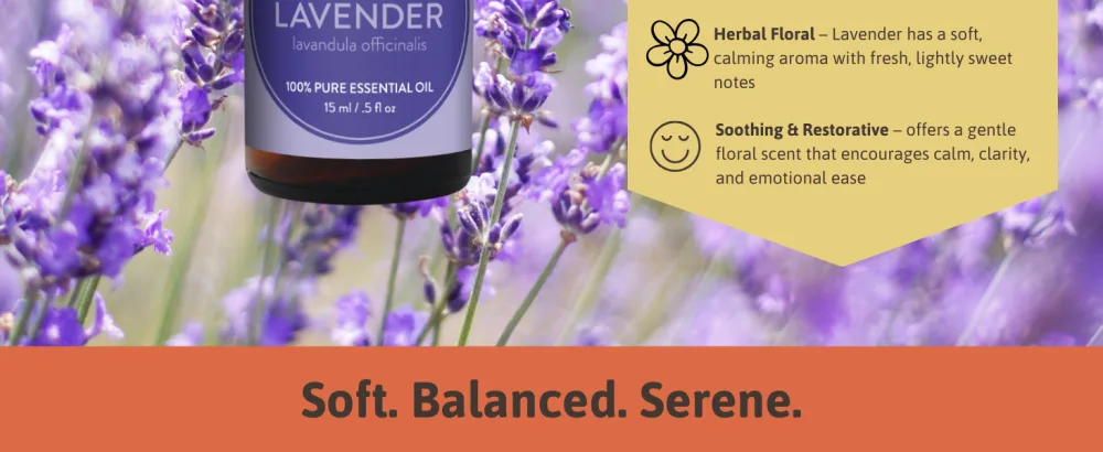 Lavender Essential Oil for Diffuser Aromatherapy Best of Nature 100% Pure Undiluted Oils for DIY, Home Fragrance, and Topical Use - Best of Nature Lavender 100% Pure Undiluted Essential Oil Skincare, Self Care and DIY Soak making