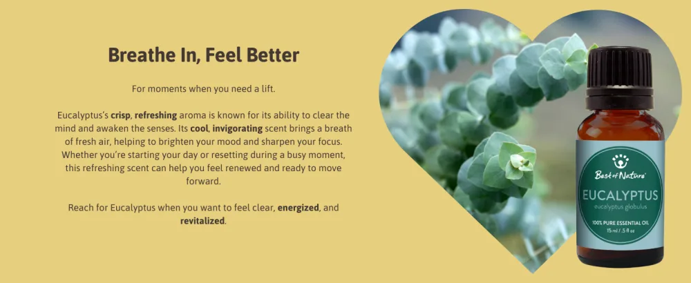 Eucalyptus Essential Oil for Diffuser Aromatherapy Best of Nature 100% Pure Undiluted Oils for DIY, Home Fragrance, and Topical Use - Best of Nature Eucalyptus 100% Pure Undiluted Essential Oil Skincare Self Care and DIY Soap Making