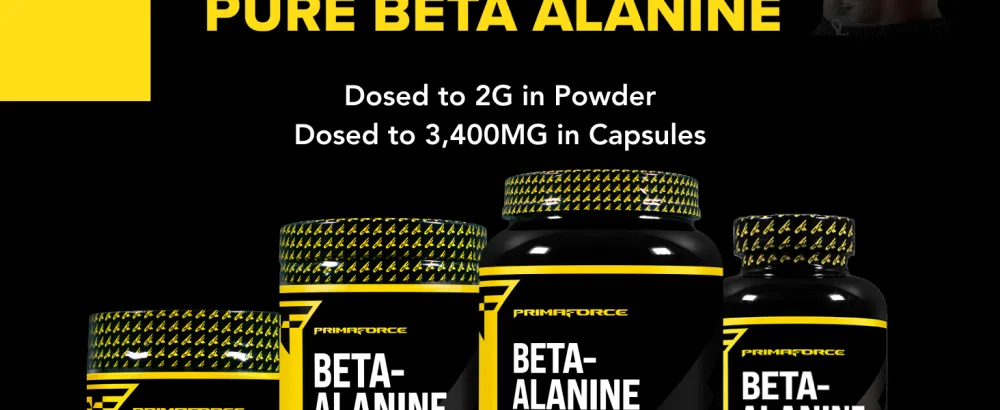 Primaforce Beta Alanine Powder 500 Grams (1.1lbs) Unflavored - Pre Workout and Post Workout Supplement 1.12 Pound (Pack of 1) - PrimaForce Beta Alanine