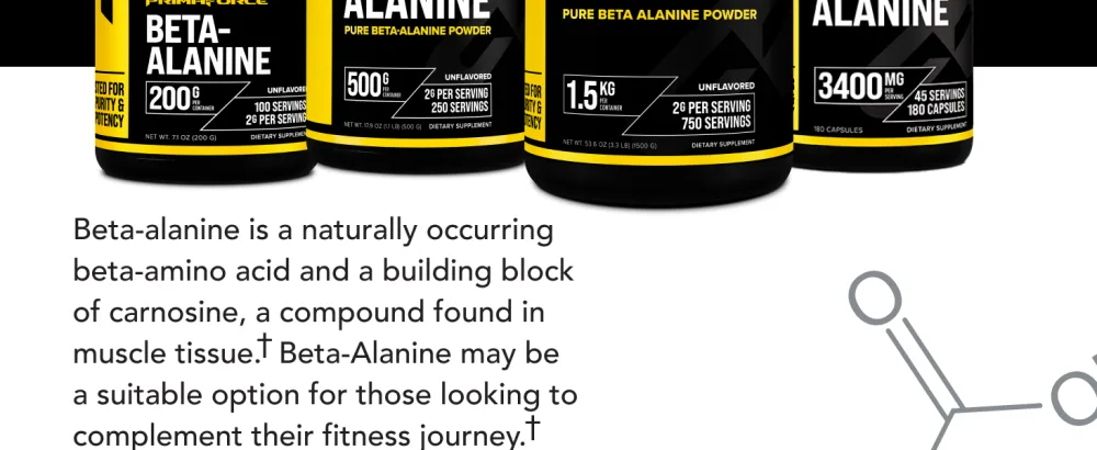 Primaforce Beta Alanine Powder 500 Grams (1.1lbs) Unflavored - Pre Workout and Post Workout Supplement 1.12 Pound (Pack of 1) - PrimaForce Beta Alanine