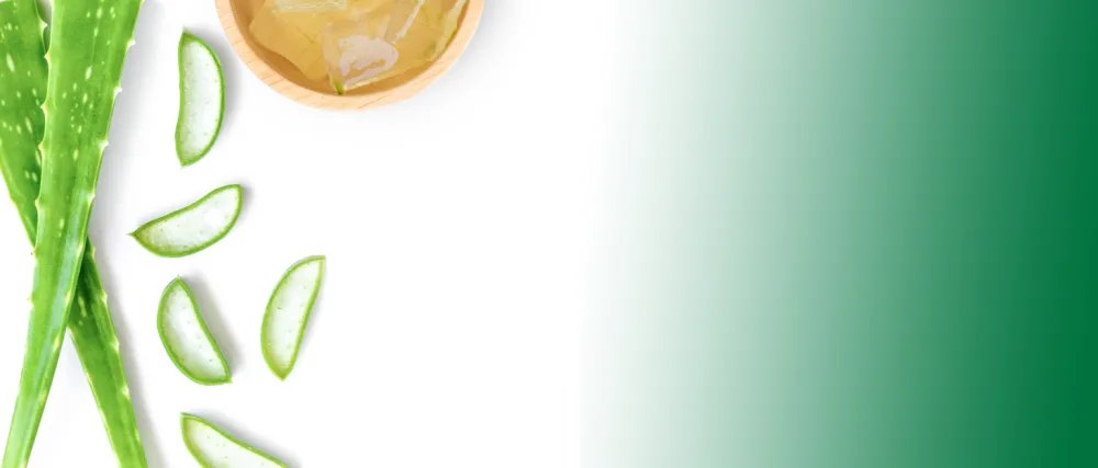 AloeCure Aloe Digestion Pack - 2 Pieces - Aloe Vera Capsules 1btlx60caps, Probiotics 1btl - product information 1
