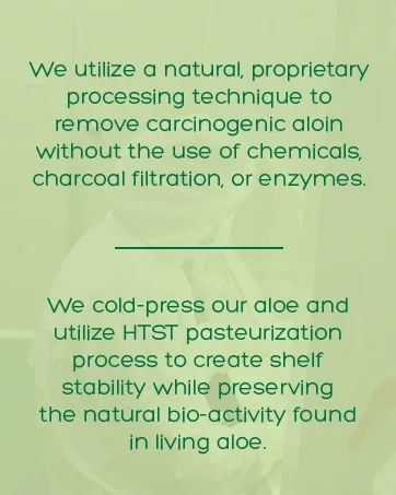 AloeCure Aloe Digestion Pack - 2 Pieces - Aloe Vera Capsules 1btlx60caps, Probiotics 1btl - product information 13