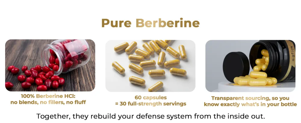 gflow vitamins Berberine HCl 1200 mg in Vegetable Capsules | Berberine Top Choices Made in The USA - clean nutra berberine with ceylon cinnamon supplement berberine patches 1500mg powder now lipossomal