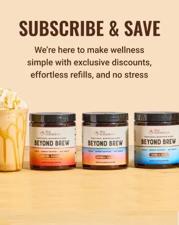 Live Conscious CurcuWell - Curcumin and Boswellia Blend | Maximum Strength Joint, Body and Cognitive Support - 60 Day Supply (2-Pack) - Subscribe and Save