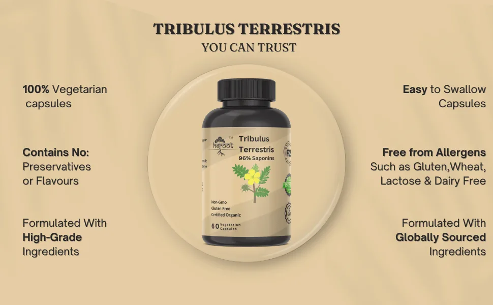 Tribulus Terrestris Supplement for Men & Women Supplement (Pack of 120 Capsule) 120 Count (Pack of 1) - Tribulus Terrestris