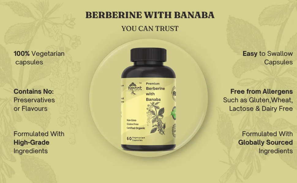 Berberine HCl with Banaba 500mg | Root Extract Plant Based, Vegan, Non-GMO 60 Capsules 60 Count (Pack of 1) - Berberine with Banaba