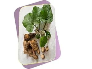 Buried Treasure Lymphatic Harmony Drops - 2oz, 30 Servings, Lymphatic Supplement with Cleavers, Burdock, Echinacea, and Astragalus - Burdock Root