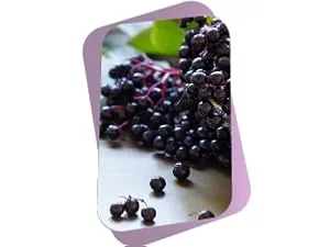 Buried Treasure Lymphatic Harmony Drops - 2oz, 30 Servings, Lymphatic Supplement with Cleavers, Burdock, Echinacea, and Astragalus - Elderberries