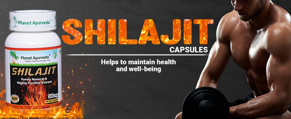 Planet Ayurveda Shilajit Capsules, 500mg Std. Extract, 2 Bottles - Shilajit Capsule