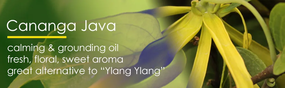 Cananga Java 8 fl oz (237 ml) Aluminum Bottle w/Plug Cap 100% Pure Essential Oil GreenHealth - ylang ylang alternative cananga java calming grounding fresh floral sweet