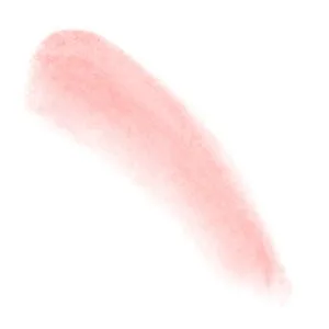 Coastal Scents Blush and Bronzer Makeup Palette - Blush and Bronzer Palette Swatch