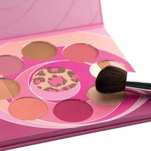Coastal Scents Blush and Bronzer Makeup Palette - Blush and Bronzer Palette with blush brush