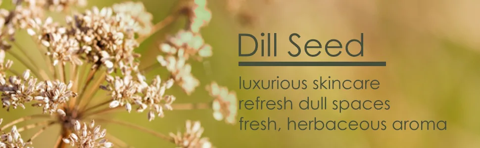 Dill Seed 16 fl oz (473 ml) Aluminum Bottle w/Plug Cap 100% Pure Essential Oil GreenHealth - luxurious skincare refresh dull spaces fresh herbaceous aroma