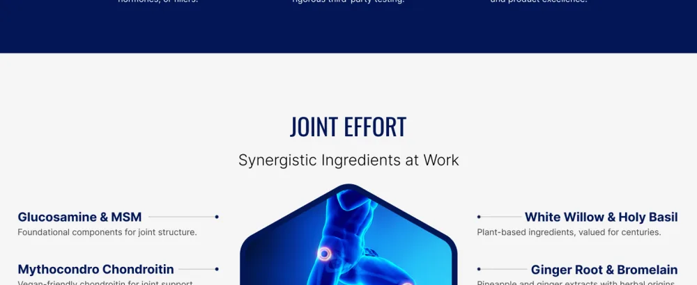 Approved Science Jointprin - Joint Support Supplement - Glucosamine, MSM, Chondroitin, Turmeric, Boswellia, BioPerine - 1 Month Supply 90 Count (Pack of 1) - Jointprin 3