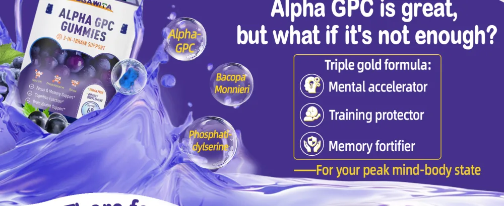 Alpha GPC Choline Gummies 600mg with Phosphatidylserine & Bacopa 3-in-1 Brain Support for Memory, Focus & Long-Term Cognitive Health Sugar-Free, Natural Formula, 60 Count - ALPHA GPC