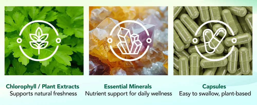 Chlorophyll Capsules Body Deodorizing Supplement for Daily Internal Freshness Support | Natural Botanical Blend for Routine Odor Balance, Gut Wellness, and Clean Inner Feeling | 120 Capsules - chlorophyll