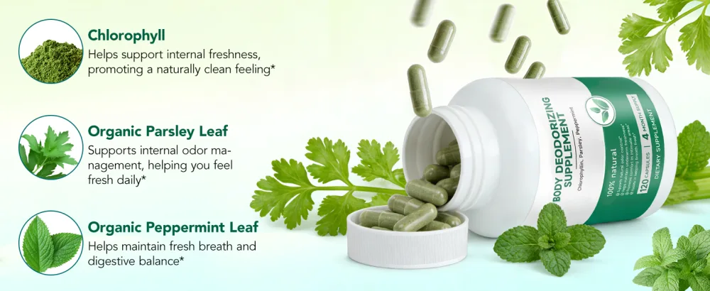Chlorophyll Capsules Body Deodorizing Supplement for Daily Internal Freshness Support | Natural Botanical Blend for Routine Odor Balance, Gut Wellness, and Clean Inner Feeling | 120 Capsules - chlorophyll