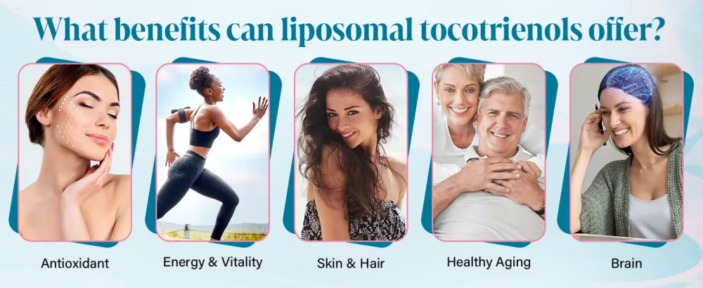 Liposomal Tocotrienols 1000mg High Absorption Vitamin E Tocotrienols Supplement with 95% Delta & 5% Gamma 60 Softgels 60 Count (Pack of 1) - liposomal tocotrienols