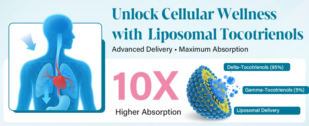 Liposomal Tocotrienols 1000mg High Absorption Vitamin E Tocotrienols Supplement with 95% Delta & 5% Gamma 60 Softgels 60 Count (Pack of 1) - Tocotrienols