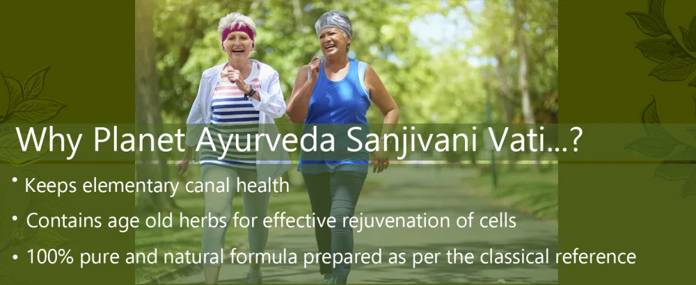 Planet Ayurveda Sanjivani Vati - Herbal Tablets, 100% Natural and Pure - 2 Bottles(Each Bottle Contains 120 Tablets) - Benefits