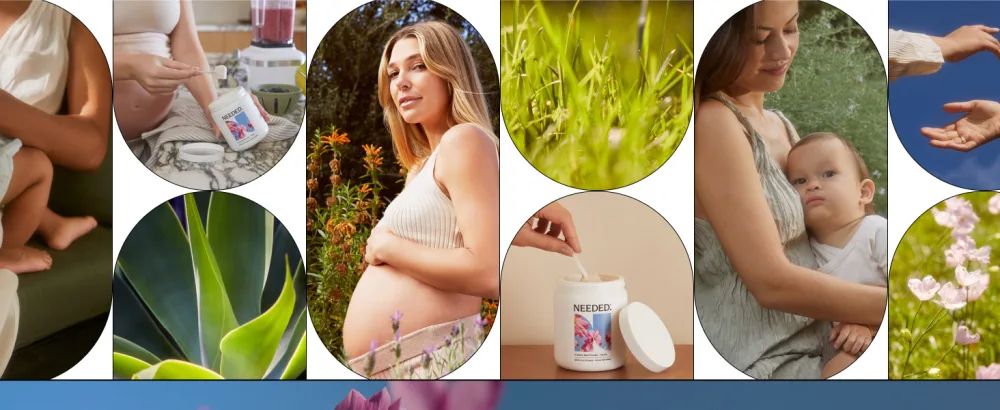Needed. Vanilla Multivitamin Powder with Choline for Prenatal, Pregnancy, Breastfeeding, Postpartum | Expertly-Formulated & Third-Party Tested | 30-Day Supply - Needed. Vanilla Multivitamin Powder with Choline for Prenatal
