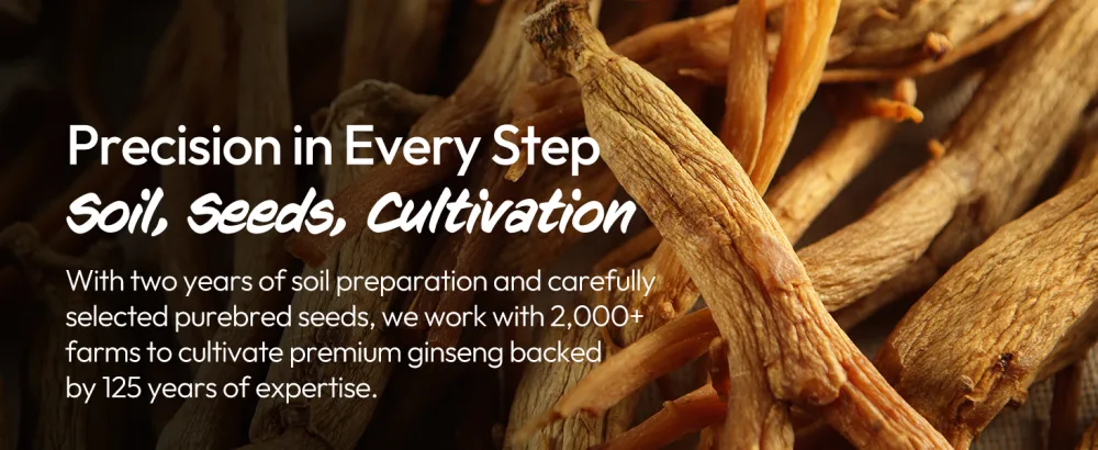 Korean Red Ginseng Extract Capsule Plus - All-in-One Vegan Supplements - Energy Boost & Immune Support, Caffeine Free & Non-GMO (600mg, 30 Capsules) - product information 13