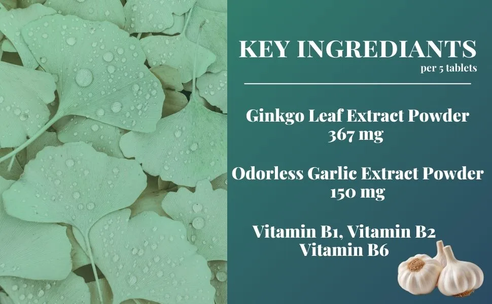FINE JAPAN Ginkgo Biloba Leaf Extract Tablets, 400 Tablets, with Garlic Extract and B Vitamins for Daily Vitality Support 60g(150mg 400tablets) - Ginkgo Biloba