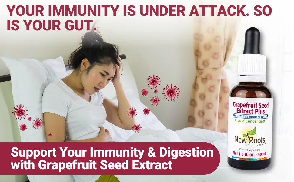 NEW ROOTS HERBAL Grapefruit Seed Extract Drops (1 Fl OZ) + Vitamin C | Super Concentrated Grapefruit Seed Extract Liquid Tincture | Gluten Free, Non-GMO - Grapefruit Seed Extract Plus ad: YOUR GUT IS UNDER ATTACK,supports Immunity and Digestion.