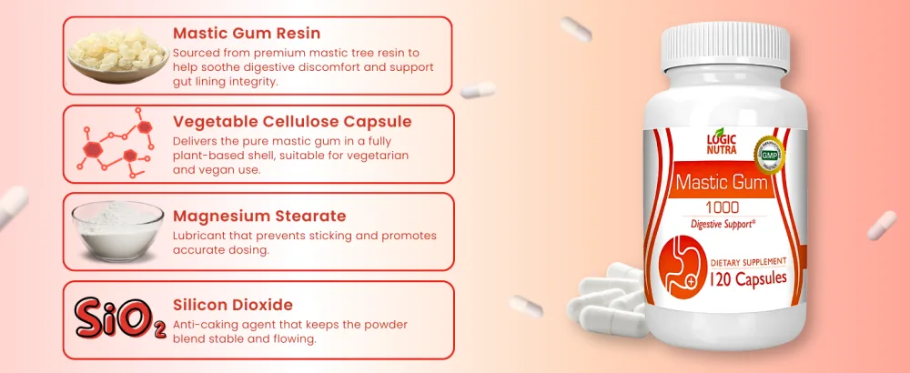 Logic Nutra Mastic Gum Supplement (Pack of 3) - logic nutra mastic gum mastic gum mastic gum capsule mastic gum capsule mastic gum capsules