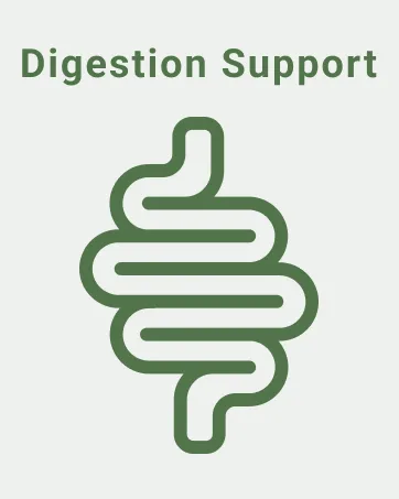 ACTIVATEDYOU Total Bio Reset- Detox Formula for Cleansing & Flushing Digestive System for Radiant Skin & Sustained Energy w/Chlorella, Kiwi Fruit, and Dandelion Root (60 Capsules) - digestion
