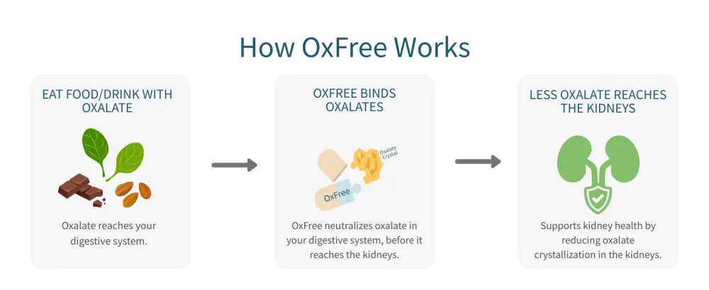 LithoLyte OxFree | Kidney Health Support & Protector | Oxalate Reducing Tablets for Calcium Oxalate Balance | Science-Based Support Beyond Cleanse, Detox, or Stone Dissolver Supplements | 120 Tablets - oxfree