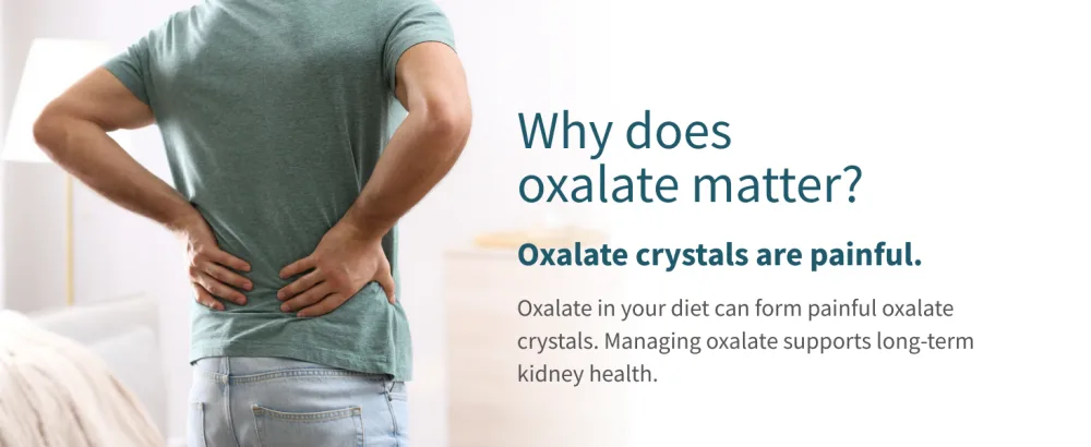 LithoLyte OxFree | Kidney Health Support & Protector | Oxalate Reducing Tablets for Calcium Oxalate Balance | Science-Based Support Beyond Cleanse, Detox, or Stone Dissolver Supplements | 120 Tablets - oxfree