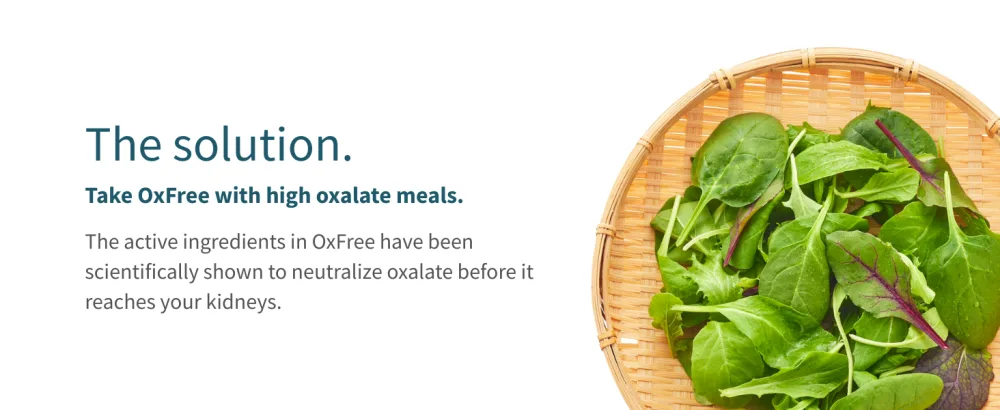 LithoLyte OxFree | Kidney Health Support & Protector | Oxalate Reducing Tablets for Calcium Oxalate Balance | Science-Based Support Beyond Cleanse, Detox, or Stone Dissolver Supplements | 120 Tablets - oxfree