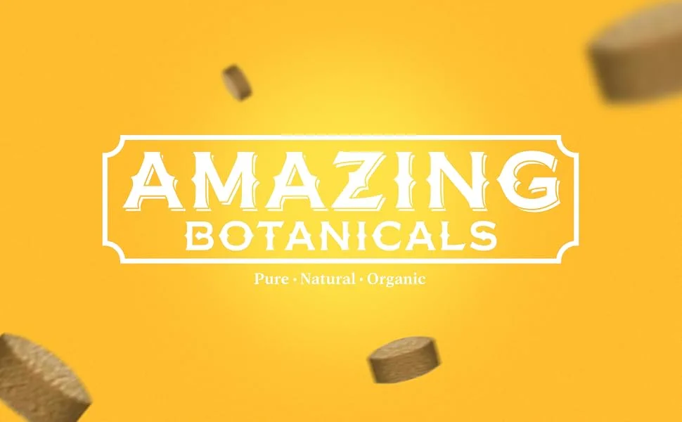 Amazing Botanicals Ginger Root Extract Tablets 200 mg - 10% Gingerols, 20 mg per Tablet, 30 Tablets - ginger extract tablets